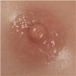 TOP-CYDOLL 乳輪のカラー ナチュラル（シリコン）