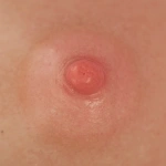 TOP-CYDOLL 乳輪のカラー ピンク（シリコン）