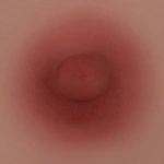 TOP-CYDOLL 乳輪のカラー ピンク（TPE)