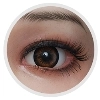 EXDOLL 眼球オプション Brown