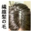 WAX Doll 追加ヘッド あり（繊維髪の毛ー移植髪版）