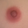 WAX Doll 乳輪の色 ＃3