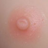 WMDOLLSアジア系 乳輪の色 ピンク