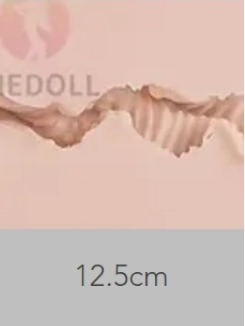 SHEDOLL 膣の長さ 12.5cm