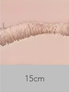 SHEDOLL 膣の長さ 15cm
