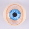 YouQDOLL 眼球 4