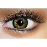 YUEDOLL 眼球の色 Y4