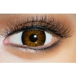 YUEDOLL 眼球の色 Y5