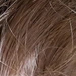 YUEDOLL 髪の毛オプション 植毛-5