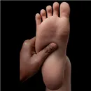 WAX Doll 自立オプション なし