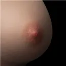WAX Doll 乳輪の色 ＃1