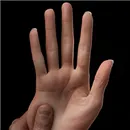WAX Doll ハンドタイプ 柔らかいハンド