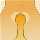 XTゼロバックスラスト膣