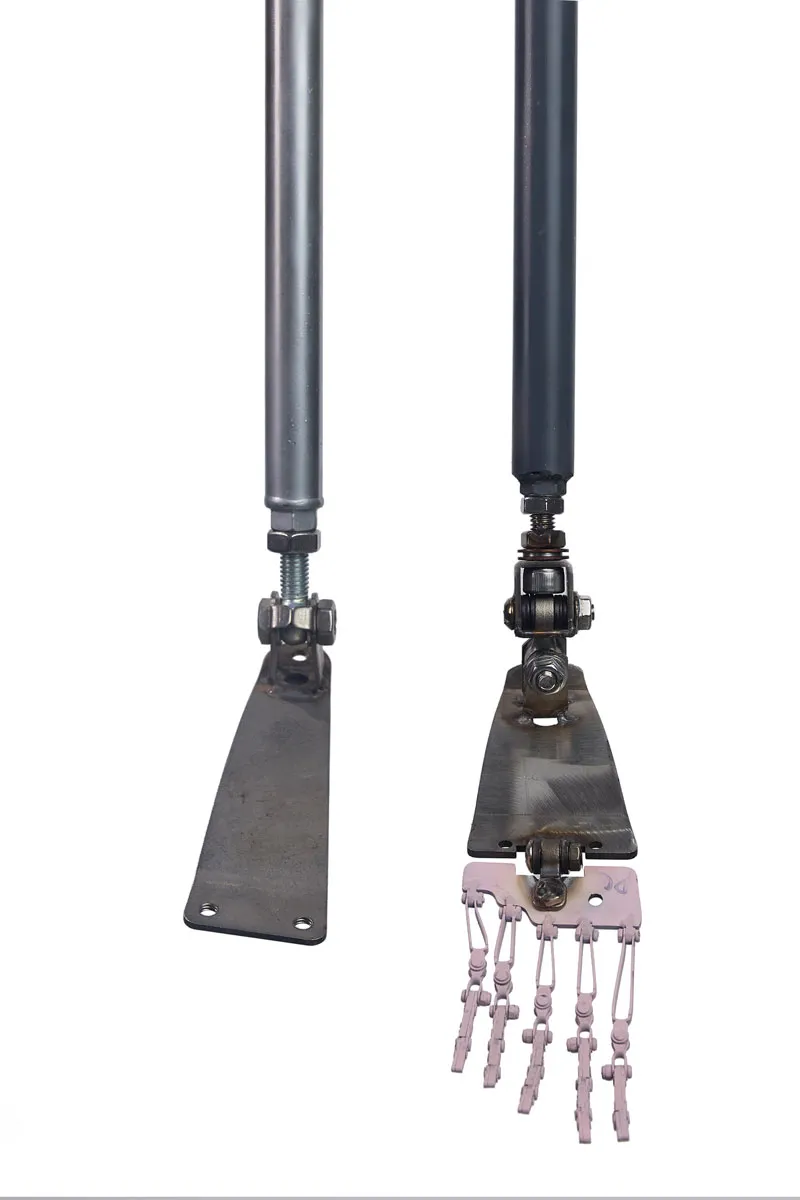 Starpery足の骨格