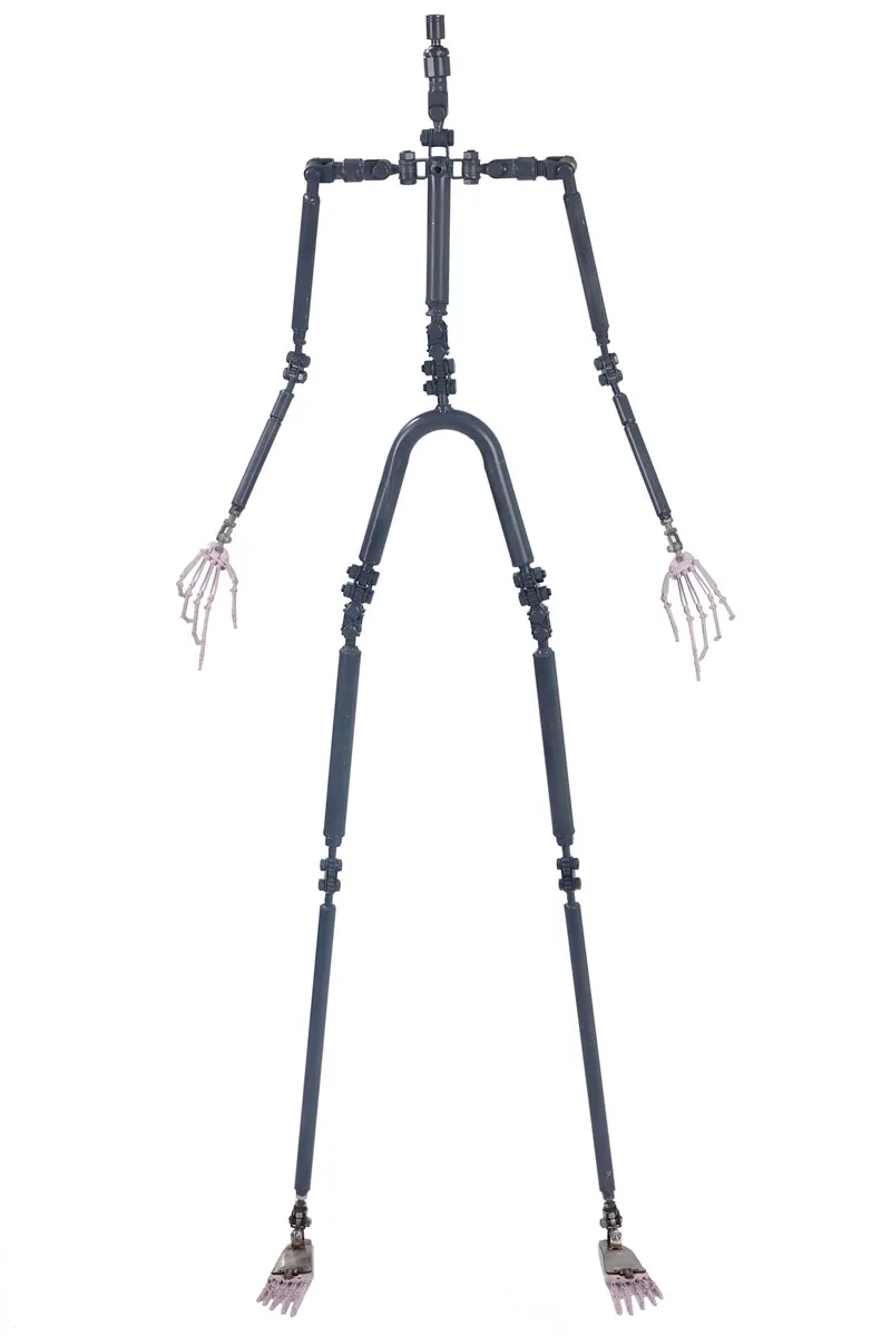 Starperyの次世代骨格