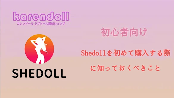 SHEDOLL 初心者ガイド