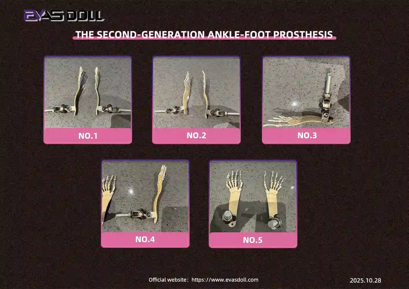 Evas Doll ラブドール 第2世代EVO