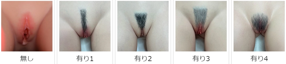 FANREAL 陰部植毛