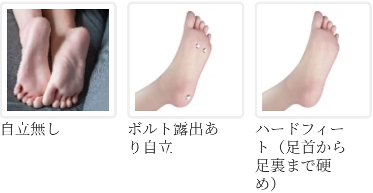 FANREAL 自立加工