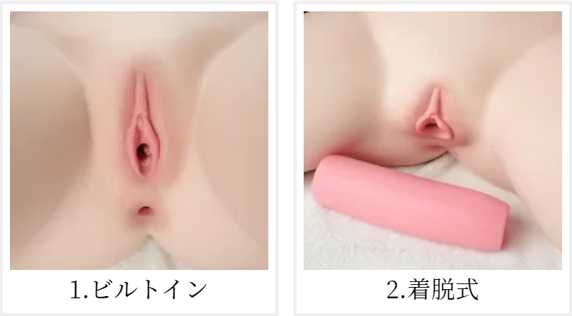 fanreal ホールタイプ