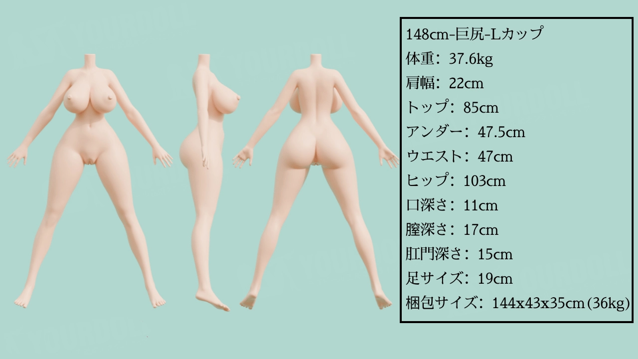 新ボディ2