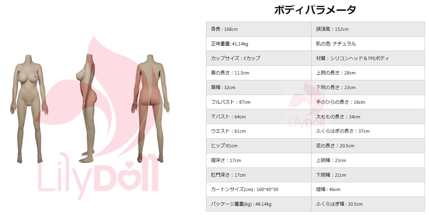 168cm F cup ドール 画像 lilydoll