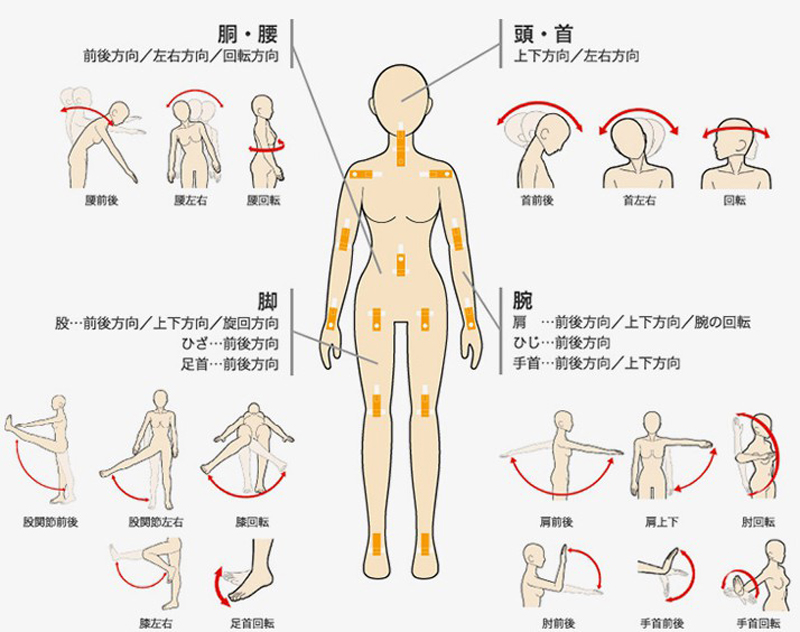 ラブドールの活動範囲