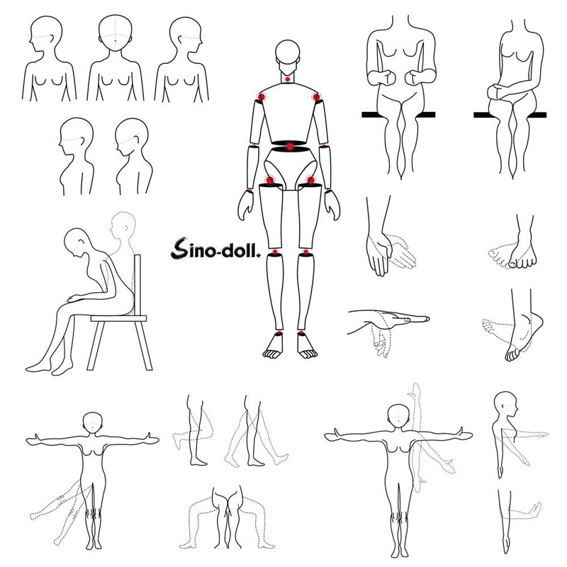 sino doll動き範囲図