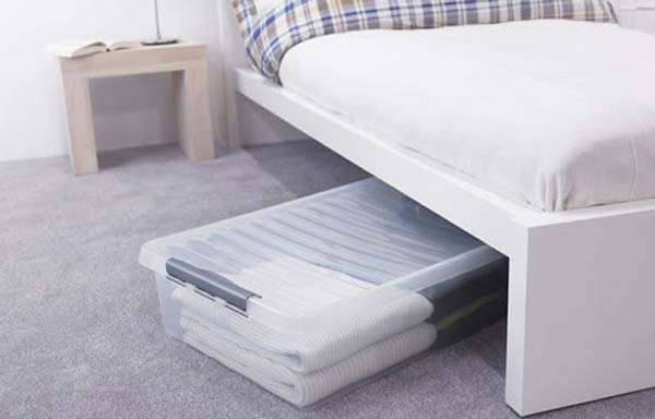 bed