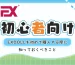 exdoll-beginner-blog