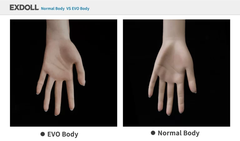 exdoll-evo-normal-compare (1)