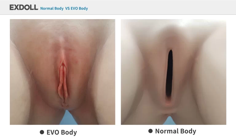 exdoll-evo-normal-compare (3)