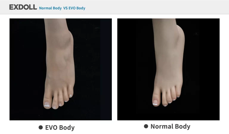 exdoll-evo-normal-compare (5)