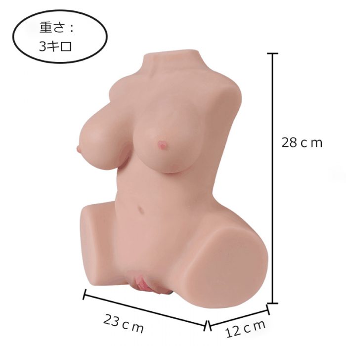 半身ラブドールサイズ